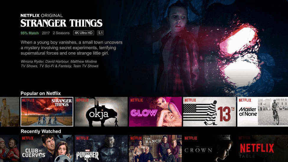 Netflix Programming