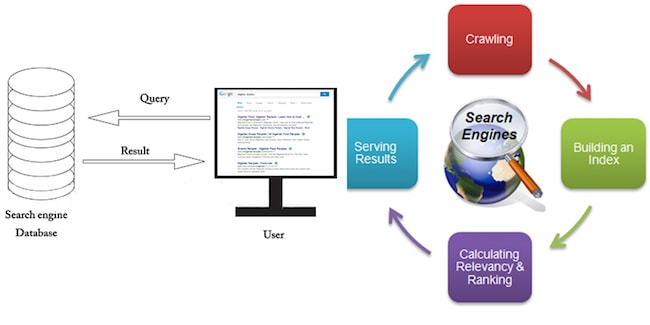 how search engine operates