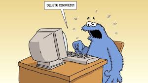 what are web cookies