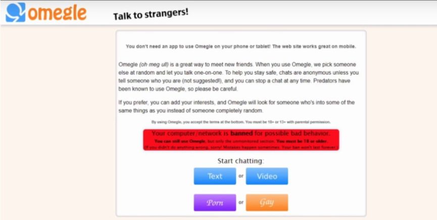 OMEGLE PRIVACY NOTICE visual data 3