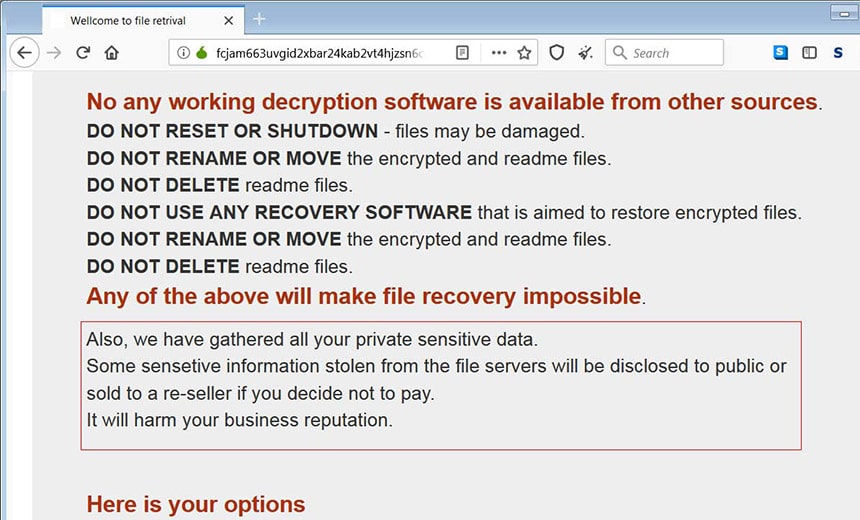 doppelpaymer ransomware