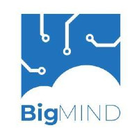 BigMind logo