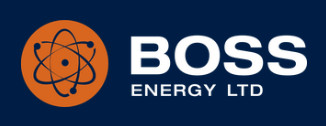 Boss Energy logo